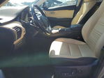 Lexus NX 2021