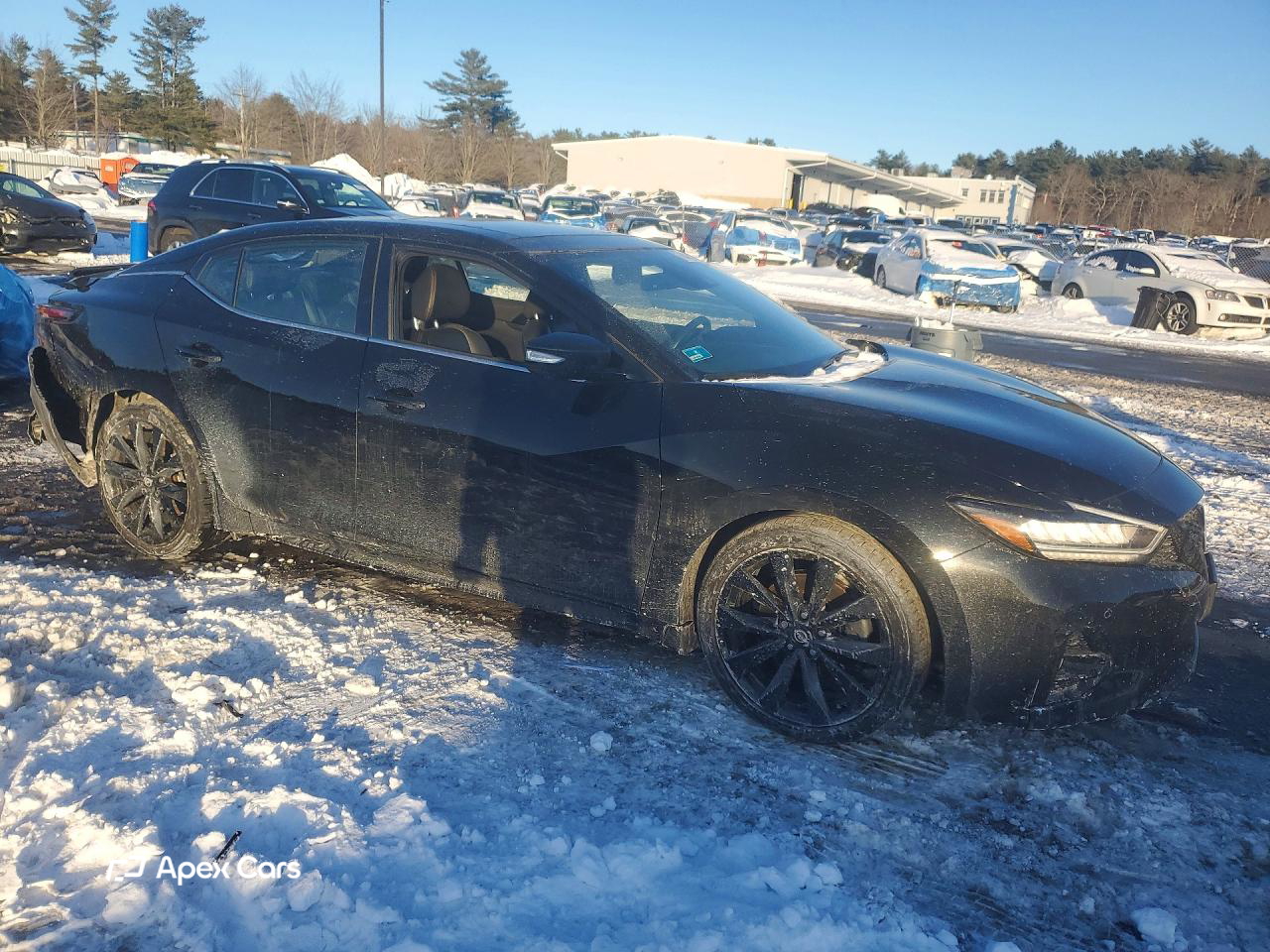 Nissan Maxima 2023