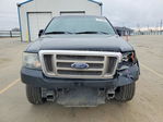 Ford F-150 2007