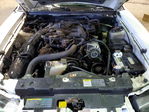Ford Mustang 2004