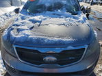 Kia Sportage 2013