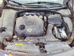 Nissan Maxima 2012