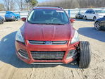 Ford Escape 2015