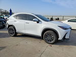 Lexus NX 2026