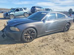 Dodge Charger 2013