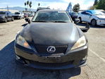 Lexus IS 2010
