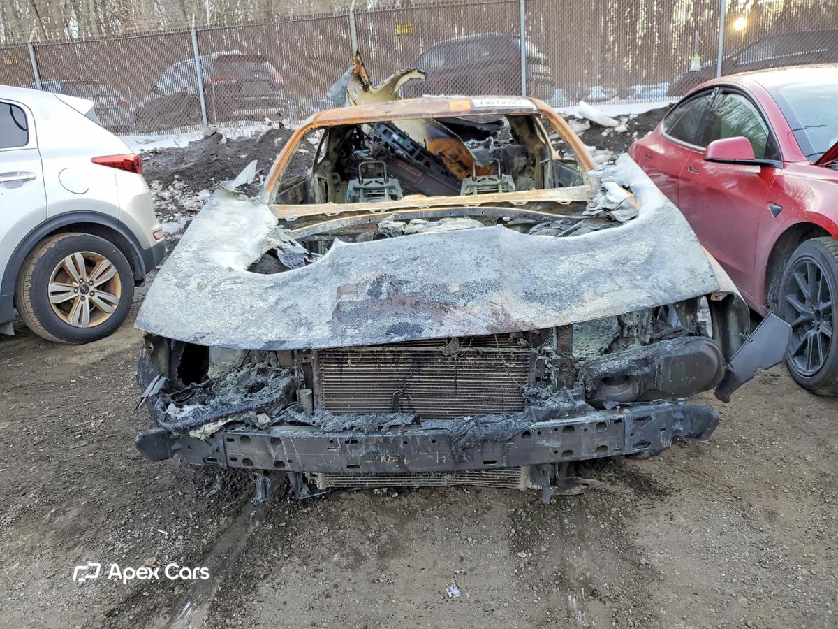 Dodge Challenger 2019