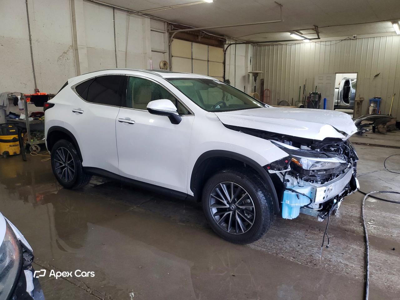 Lexus NX 2025