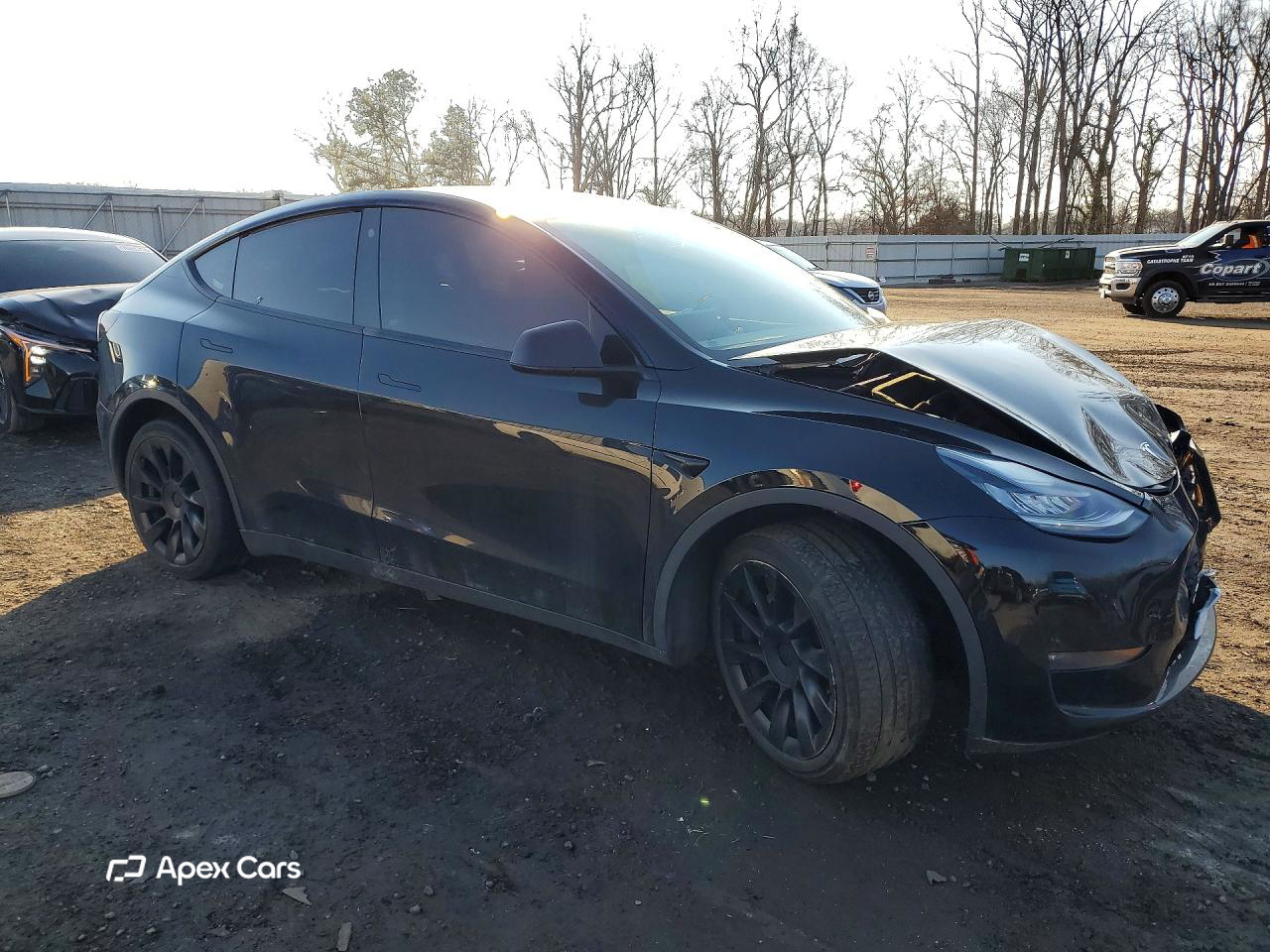 Tesla Model Y 2021