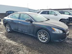 Nissan Maxima 2011