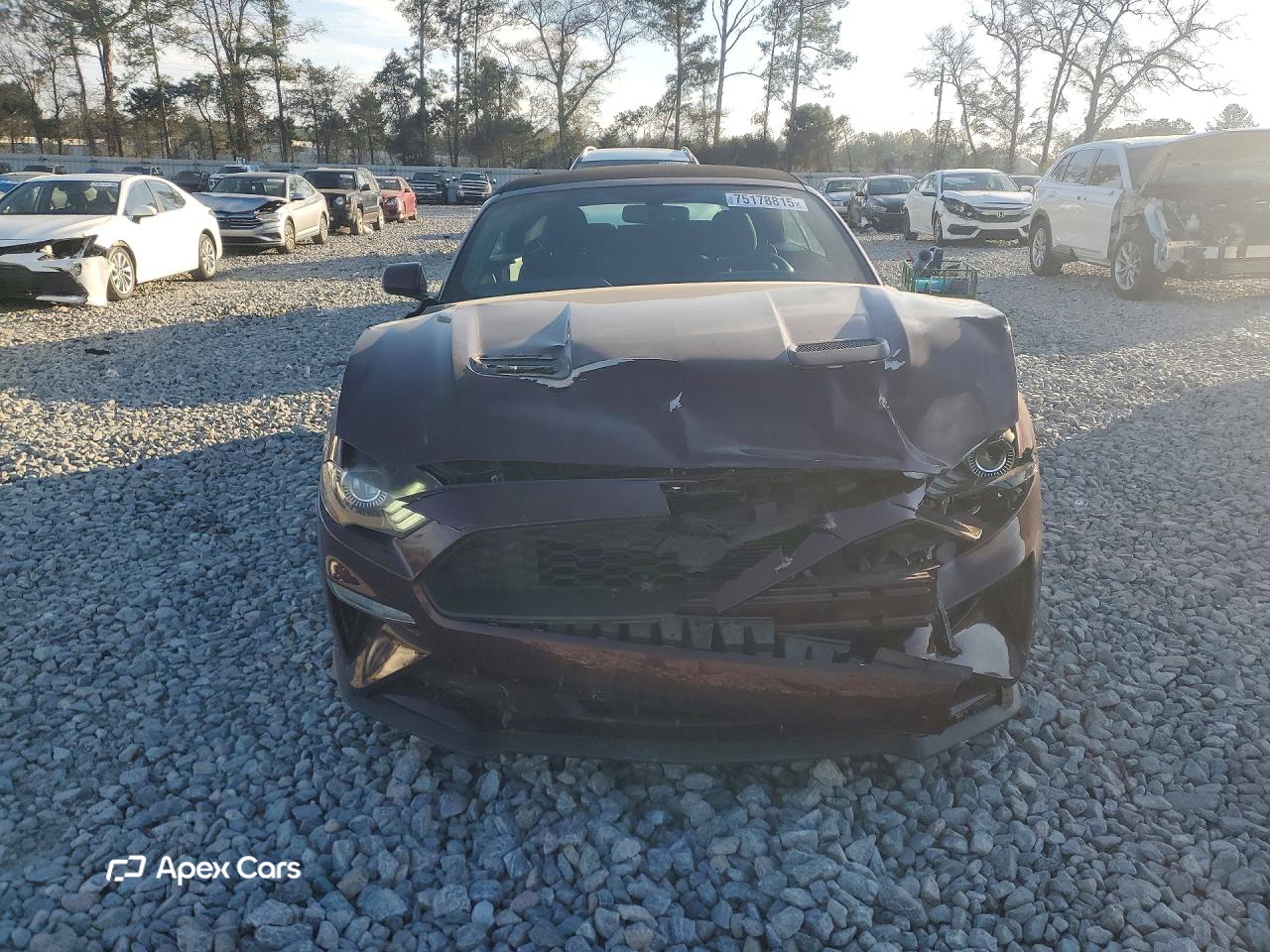 Ford Mustang 2018