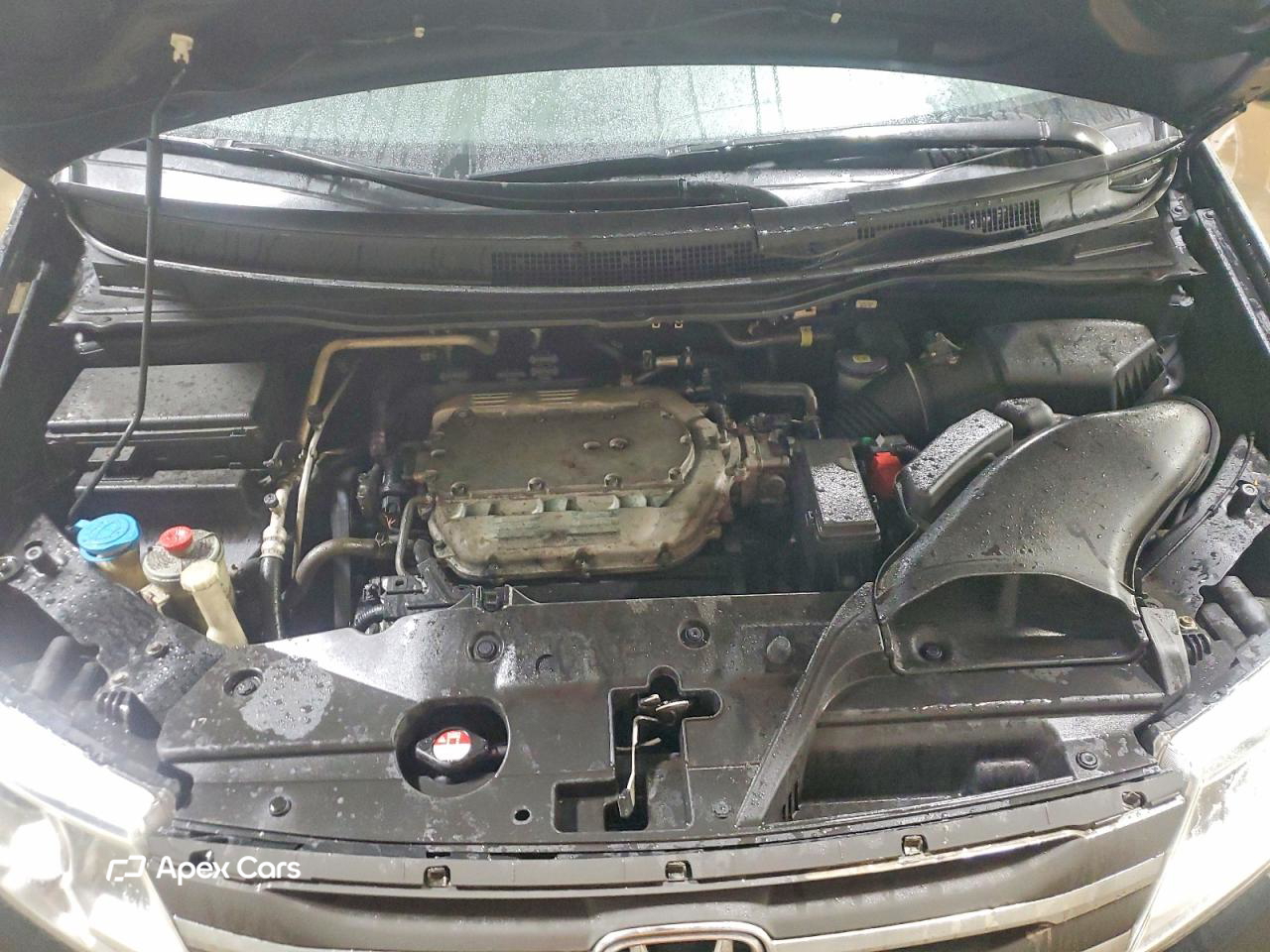 Honda Odyssey 2013