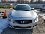 Maxima 2009