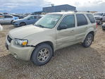 Ford Escape 2005