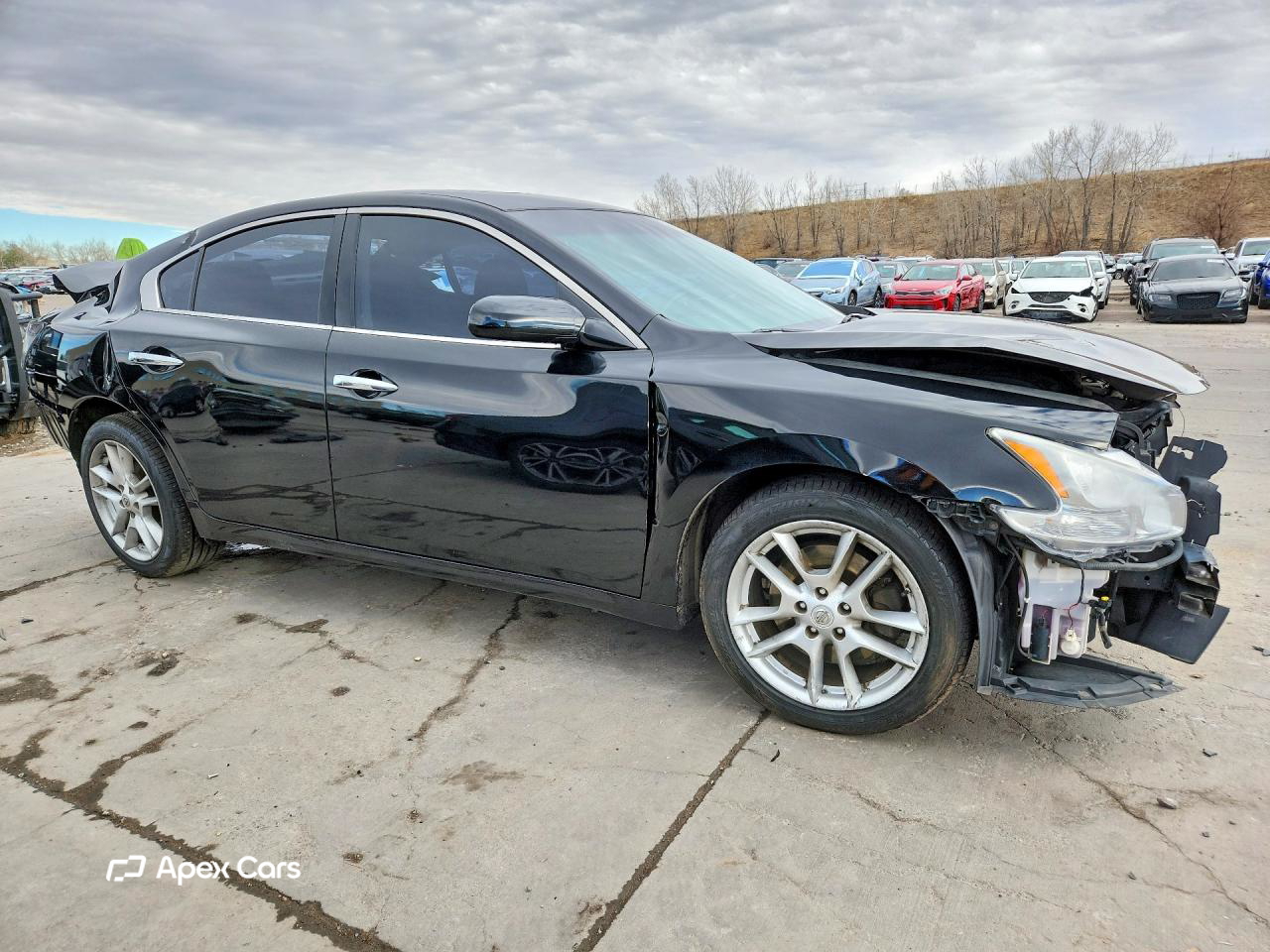 Nissan Maxima 2014