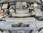 Nissan Navara (Frontier) 2021