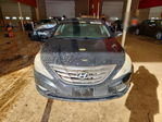 Hyundai Sonata 2011