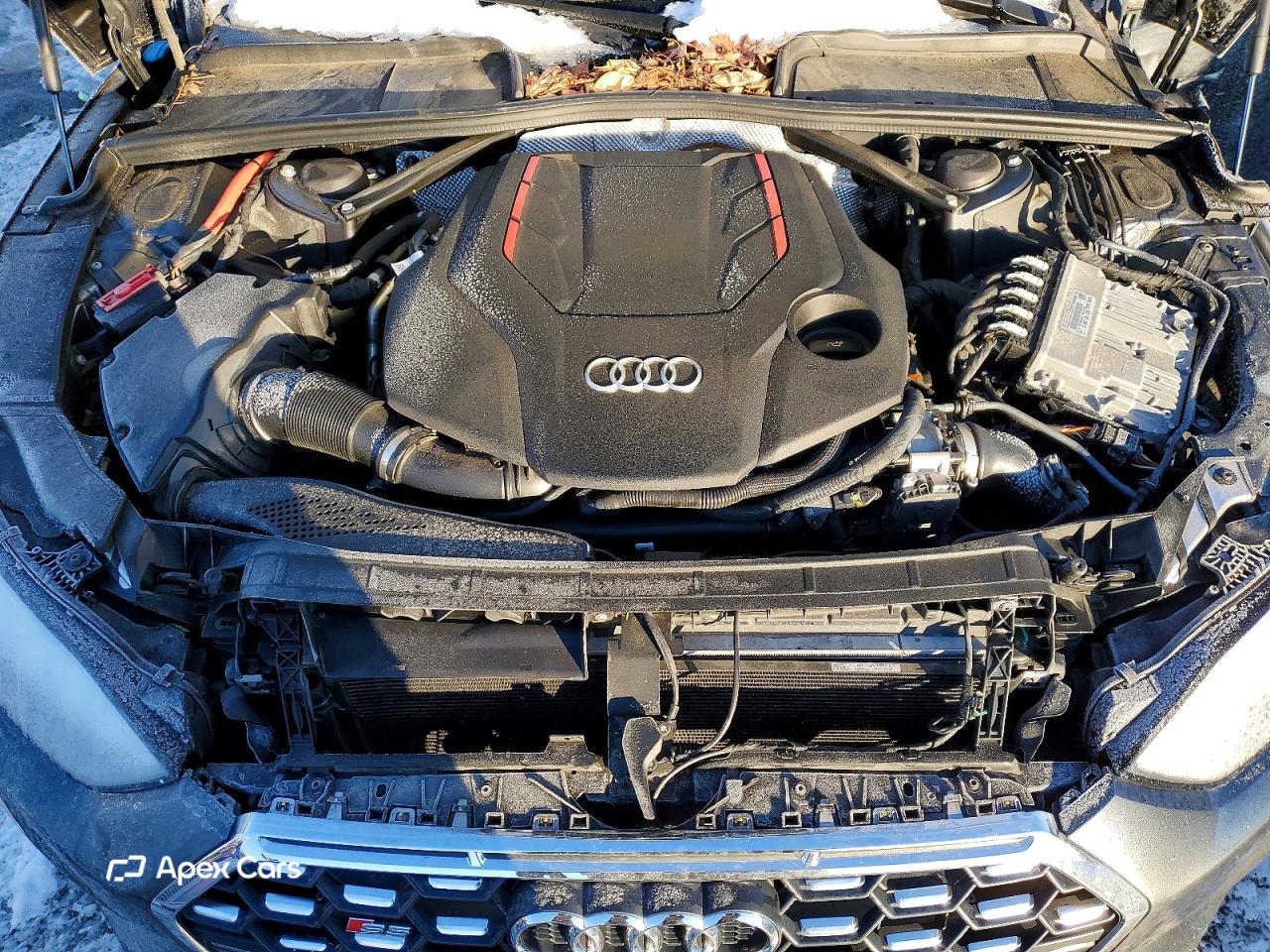 Audi RS5 2021