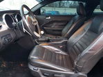 Ford Mustang 2009