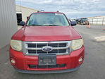 Ford Escape 2012