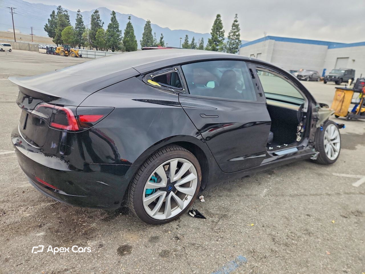 Tesla Model 3 2019