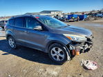 Ford Escape 2013