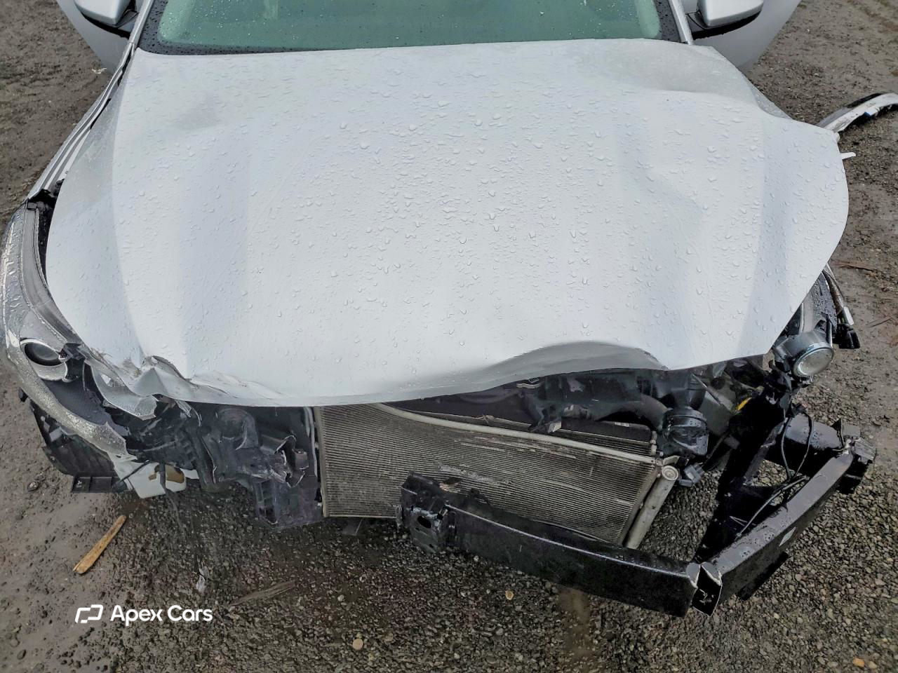 Kia Forte 2021