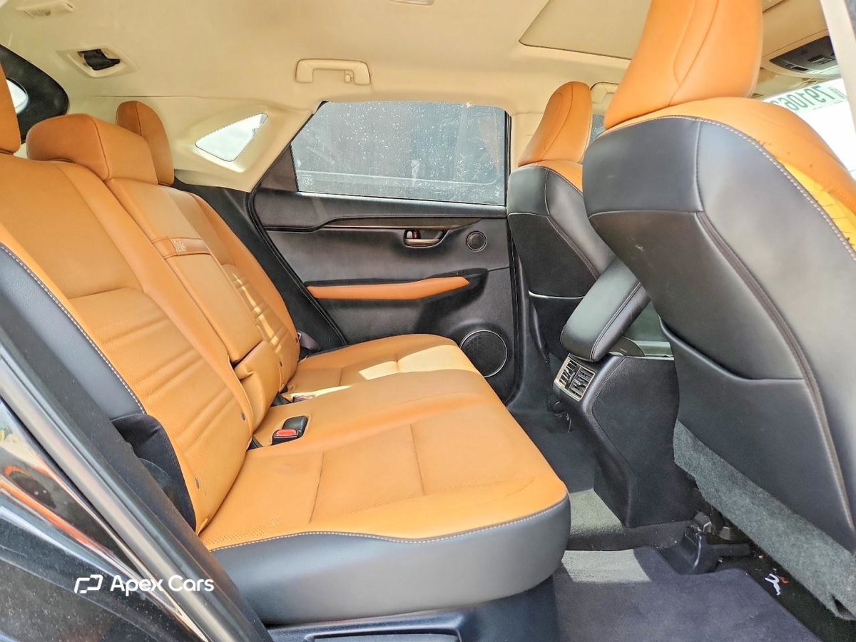 Lexus NX 2021