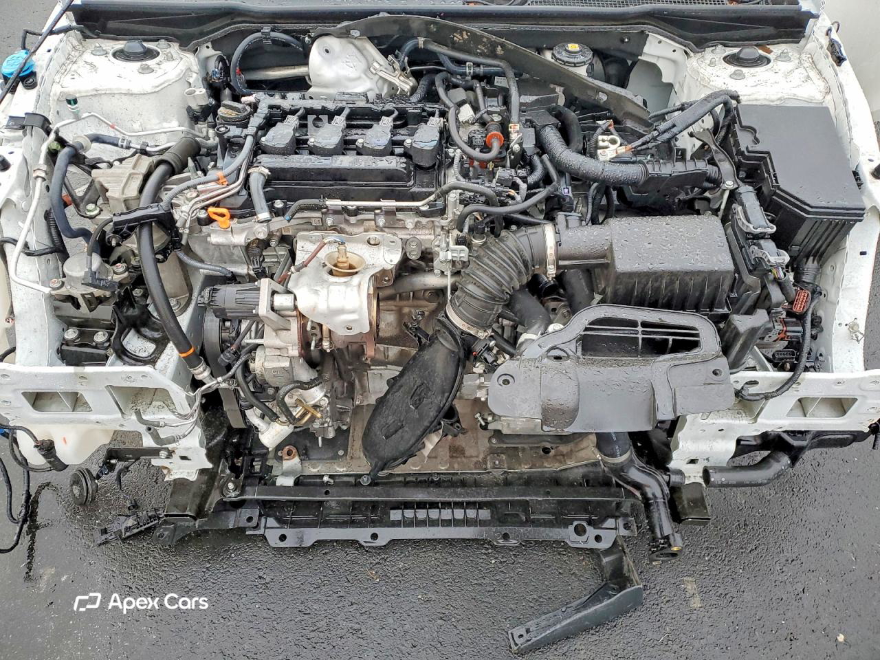 Honda Civic 2024