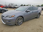 Lexus ES 2016