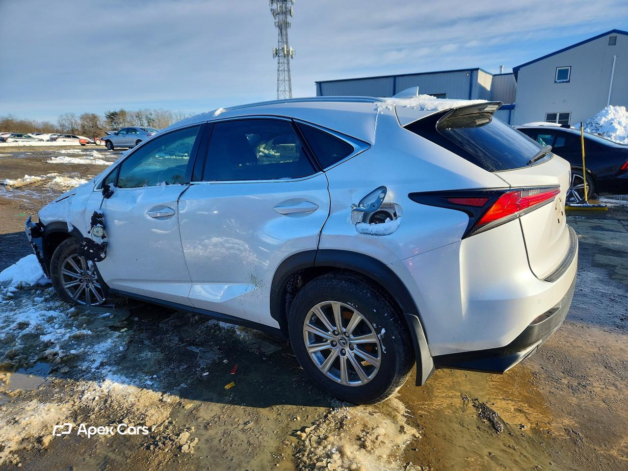 Lexus NX 2020