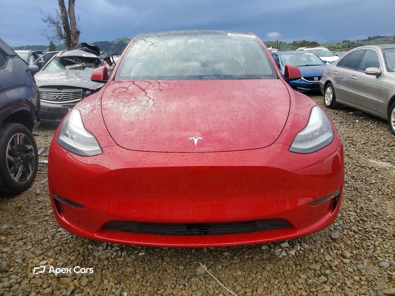 Tesla Model Y 2021