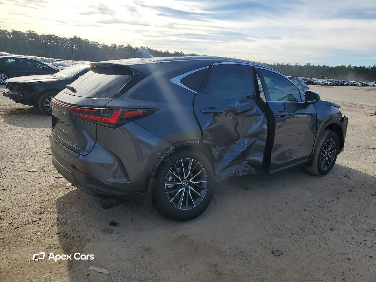 Lexus NX 2024