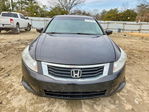 Honda Accord 2010