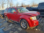 Ford Escape 2010