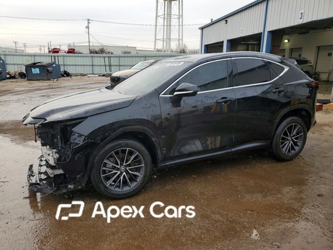 Lexus NX 2024 - Image 1 of 14
