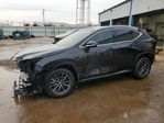 Lexus NX 2024