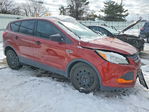 Ford Escape 2016