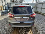 Ford Escape 2014