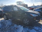 Ford Escape 2013