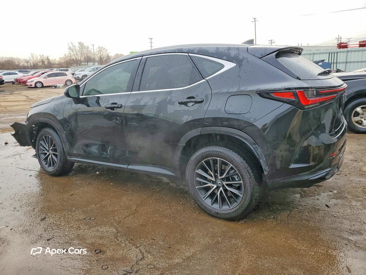 Lexus NX 2024
