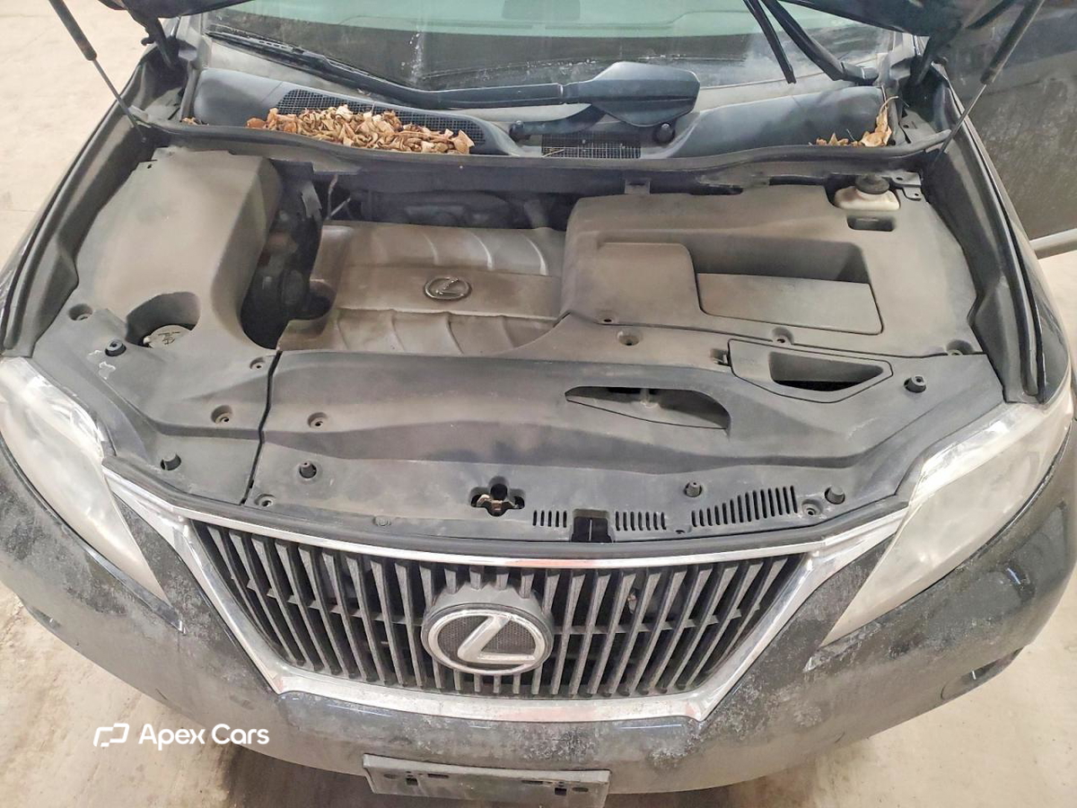 Lexus RX 2010