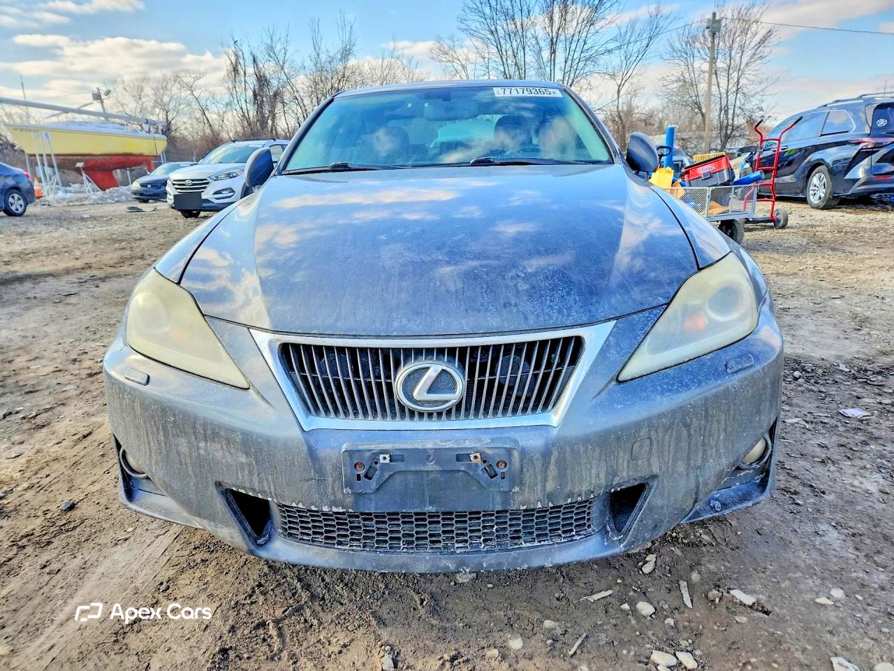 Lexus IS 2011