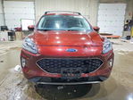 Ford Escape 2021