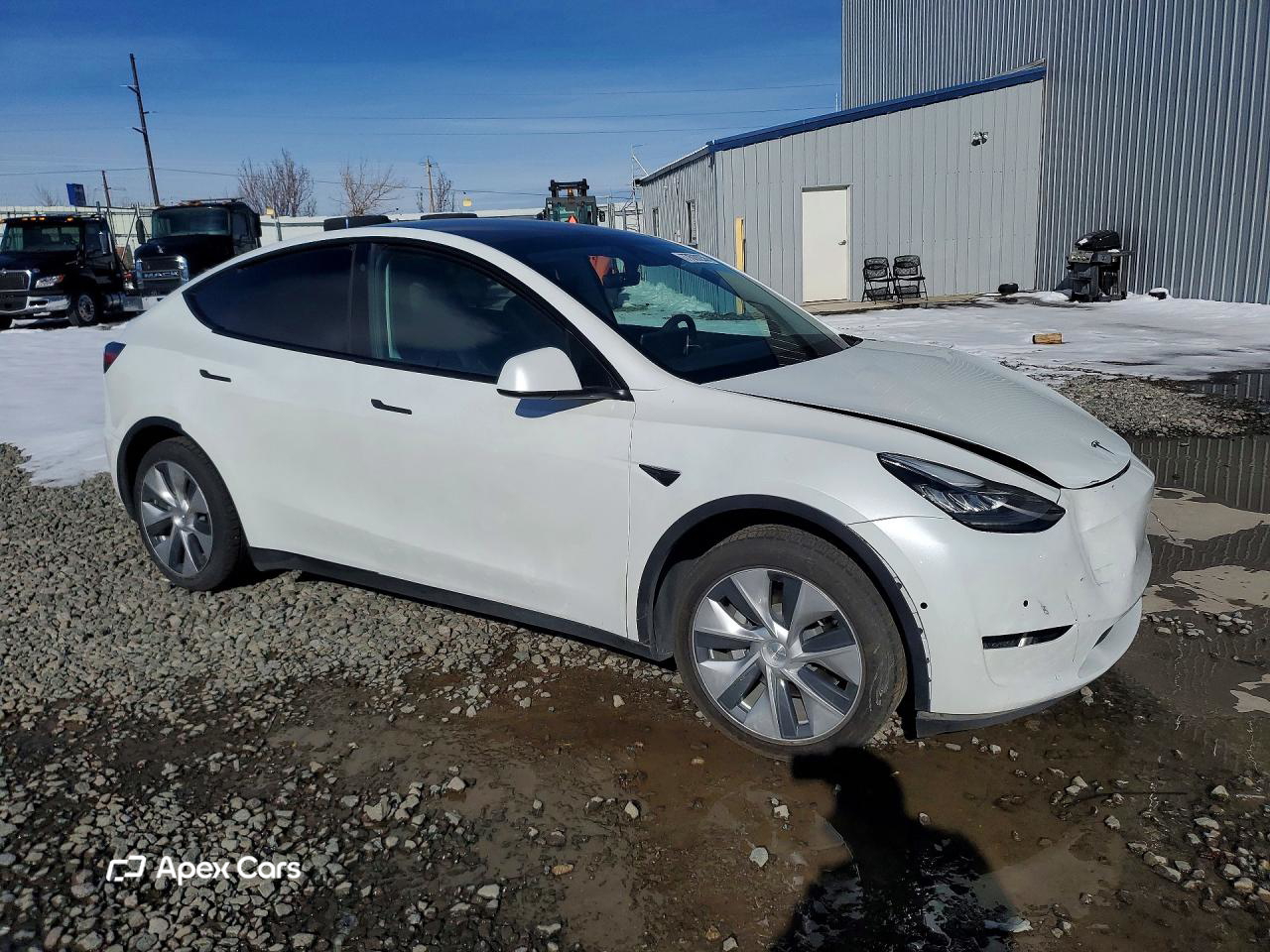 Tesla Model Y 2020