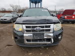 Ford Escape 2010