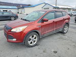 Ford Escape 2015