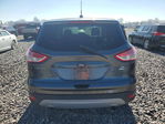 Ford Escape 2015
