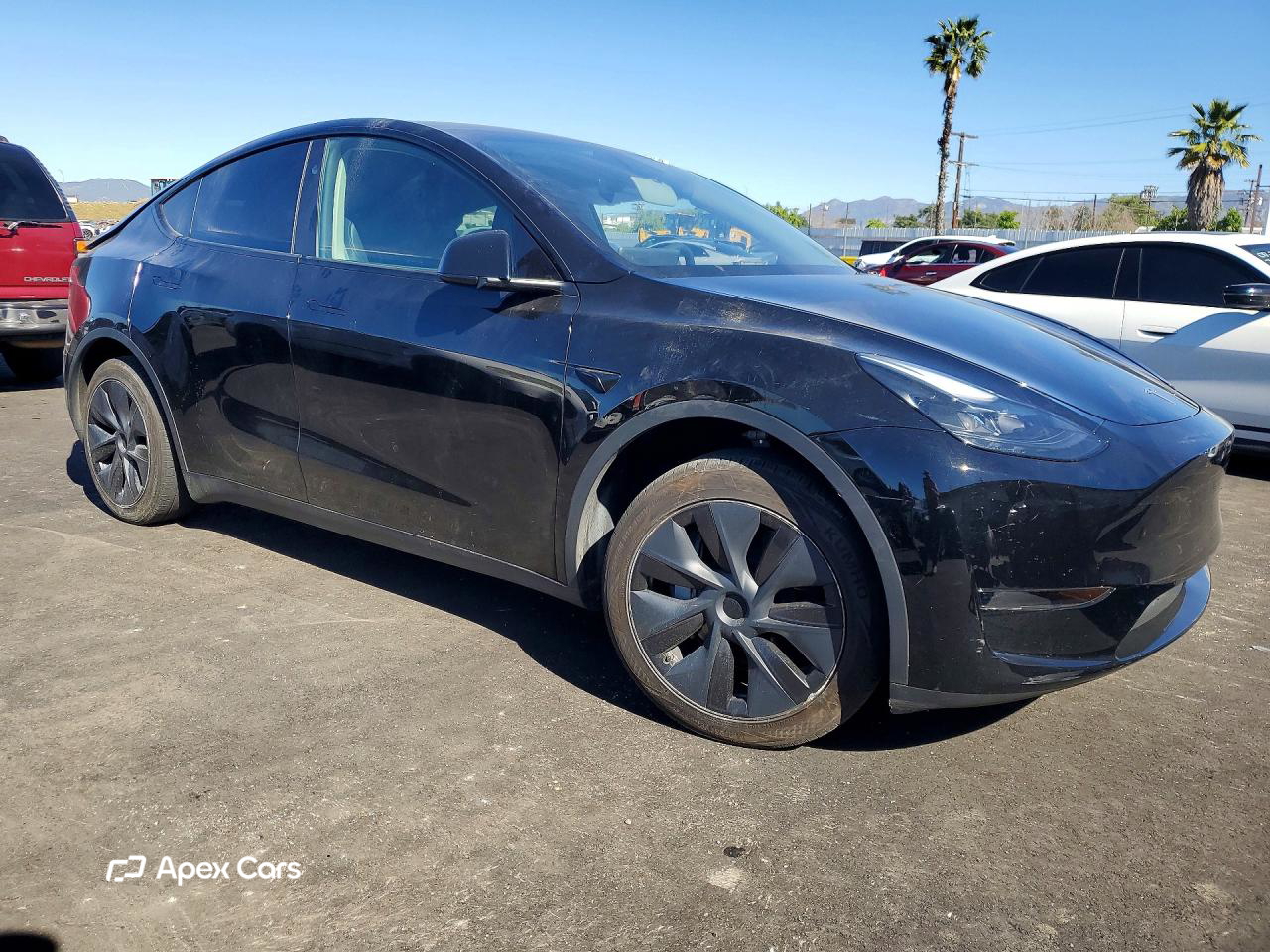 Tesla Model Y 2024