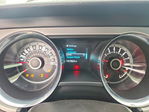 Ford Mustang 2013